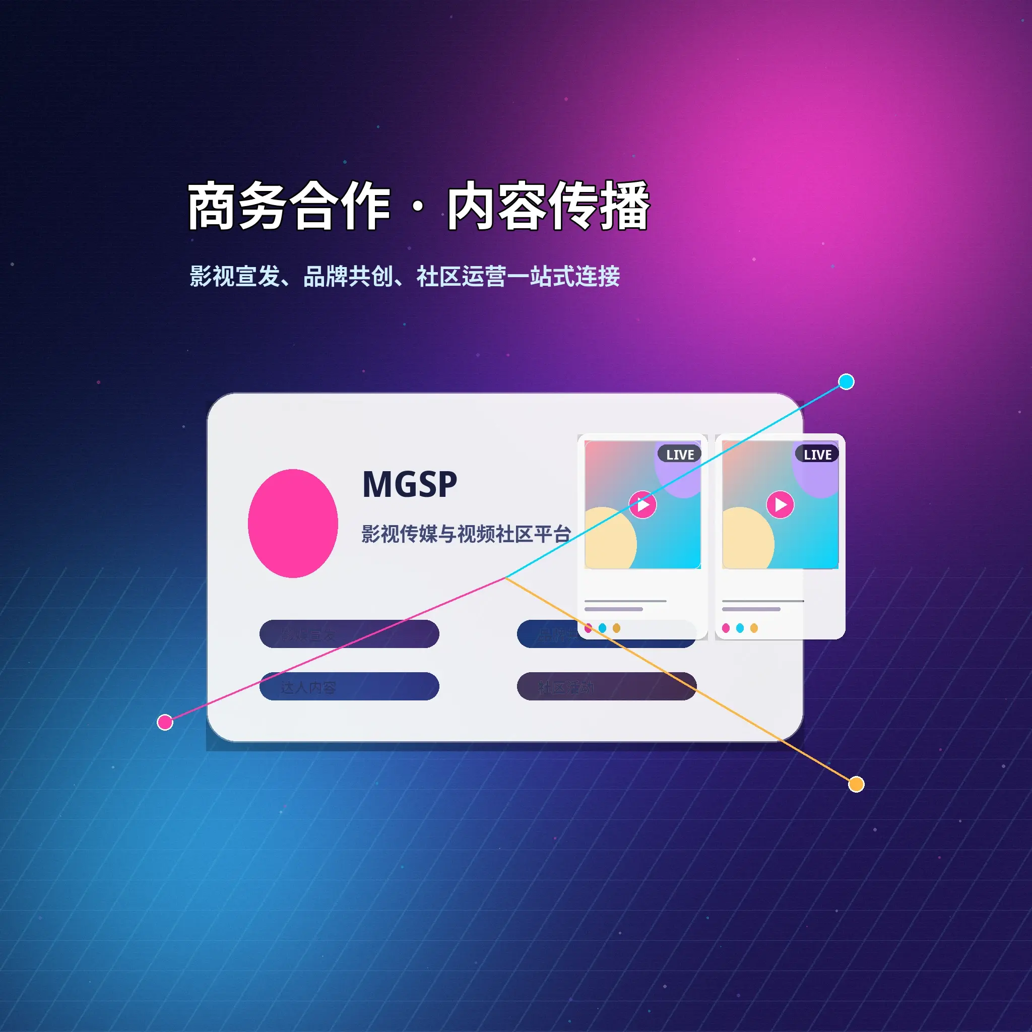 蘑菇视频服务支持与用户反馈